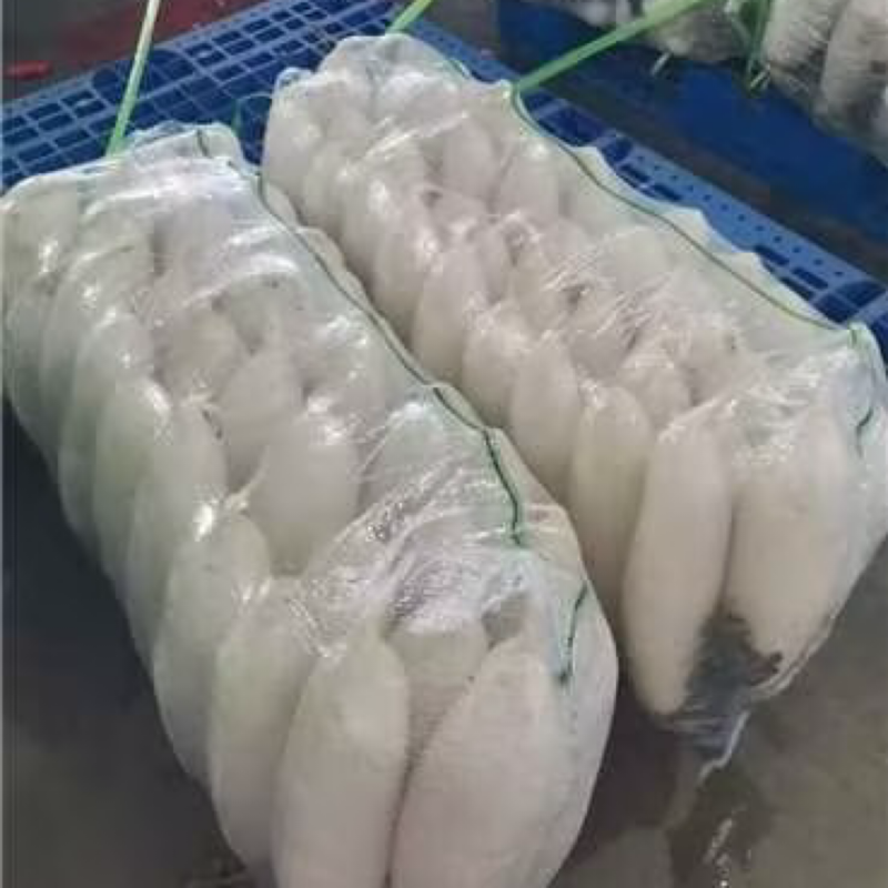 【热卖中】天门白萝卜产地一手货源稳定供应市场批发电商团购