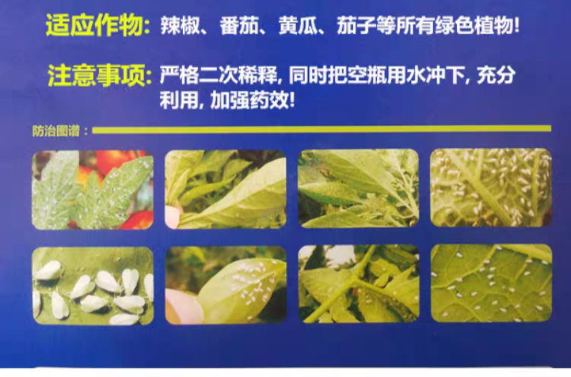 卡粉狮呋虫胺联苯菊酯啶虫脒抗性白粉虱专用农药杀虫剂