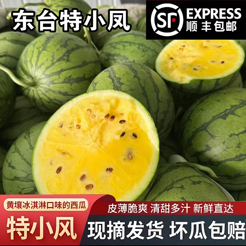 江苏东台西瓜品种甘美四K，美都，特小凤等