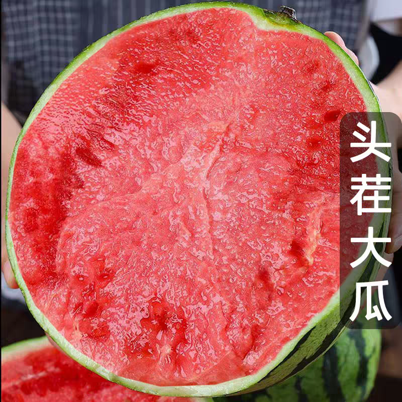 东台西瓜/美都西瓜/麒麟西瓜8424/台农种植/全国发货