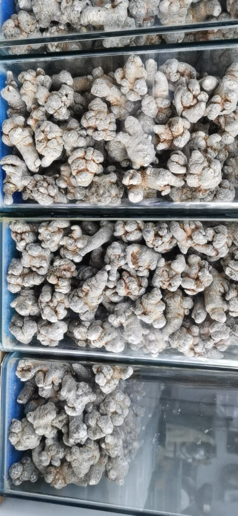 三七货源稳定无杂质正品有保障