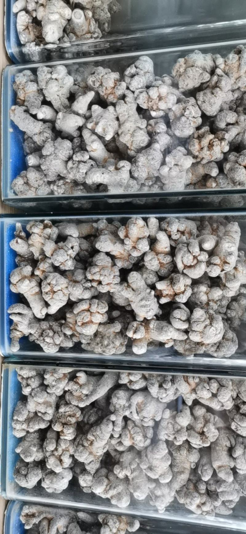 三七货源稳定无杂质正品有保障