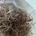 铃兰带芽花苗浓香型多年生绿植物四季开花耐寒室内