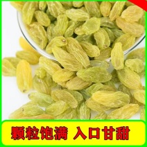 新疆葡萄干大颗粒绿葡萄干红葡萄干颗粒饱满厂家一手货源