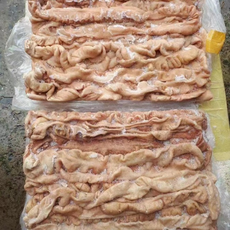 冻品猪大肠预煮猪大肠和五香猪大肠欢迎光顾