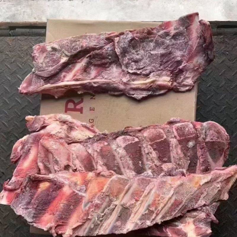 牛羽骨