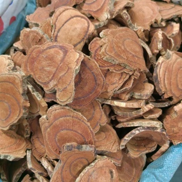 鸡血藤一斤起卖可代捡单量大可以少