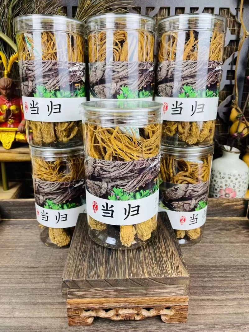 野生当归，品优好，原产地发货，大量供货，批发加零售