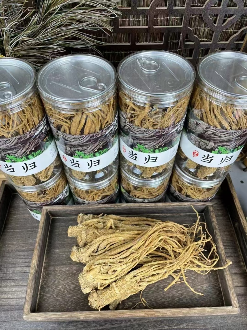 野生当归，品优好，原产地发货，大量供货，批发加零售