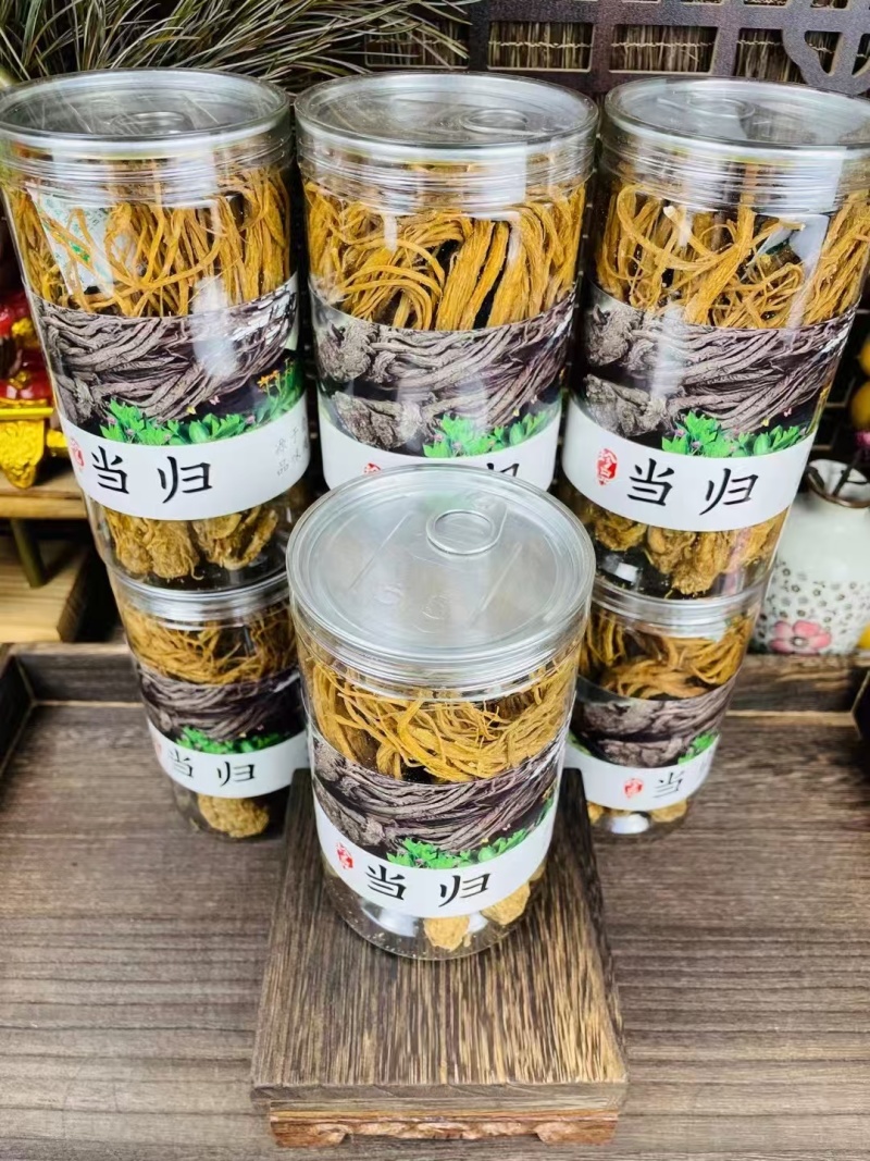 野生当归，品优好，原产地发货，大量供货，批发加零售