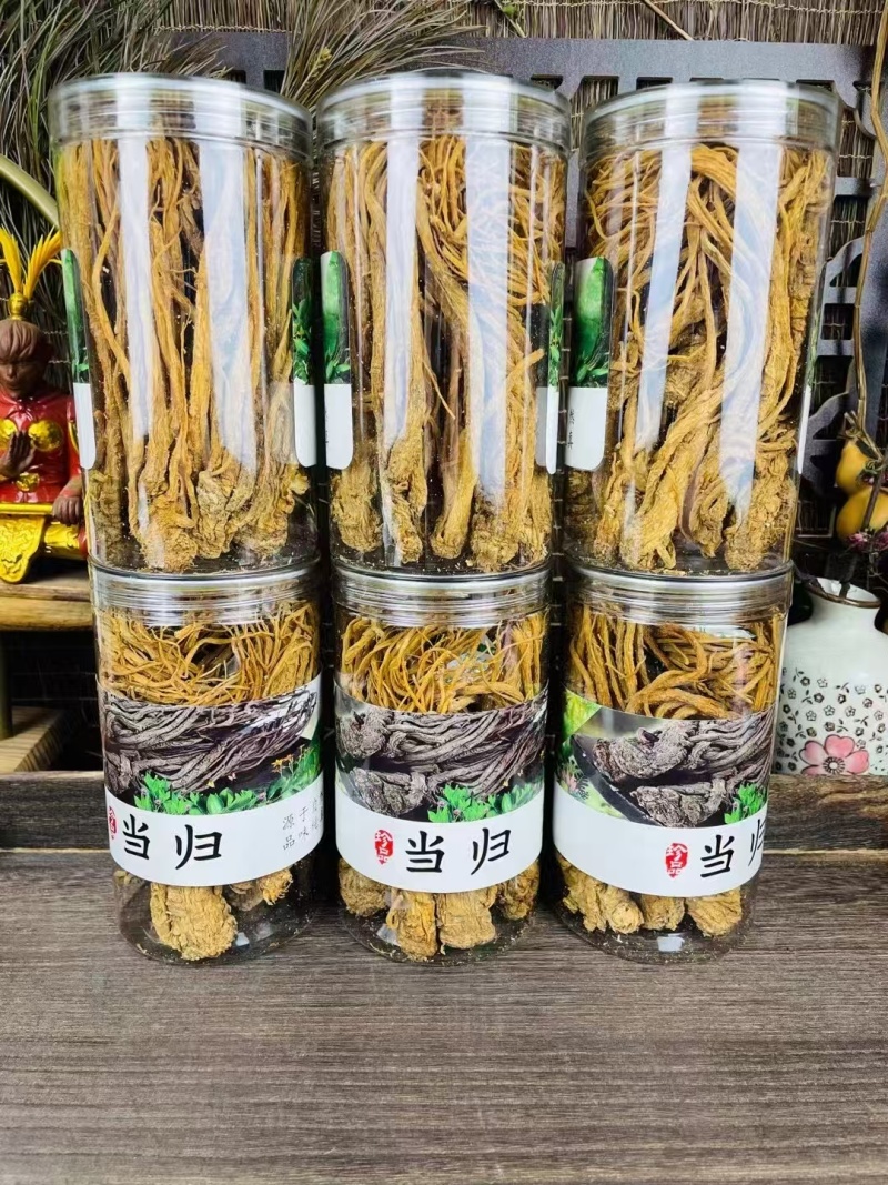 野生当归，品优好，原产地发货，大量供货，批发加零售