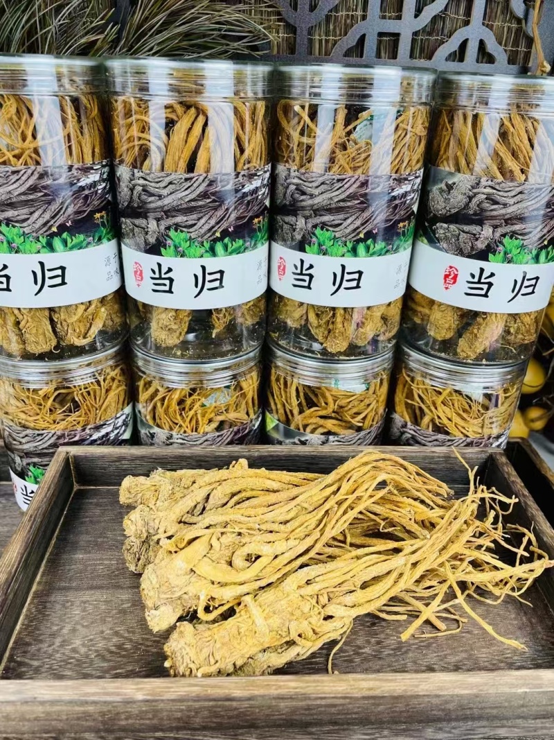 野生当归，品优好，原产地发货，大量供货，批发加零售