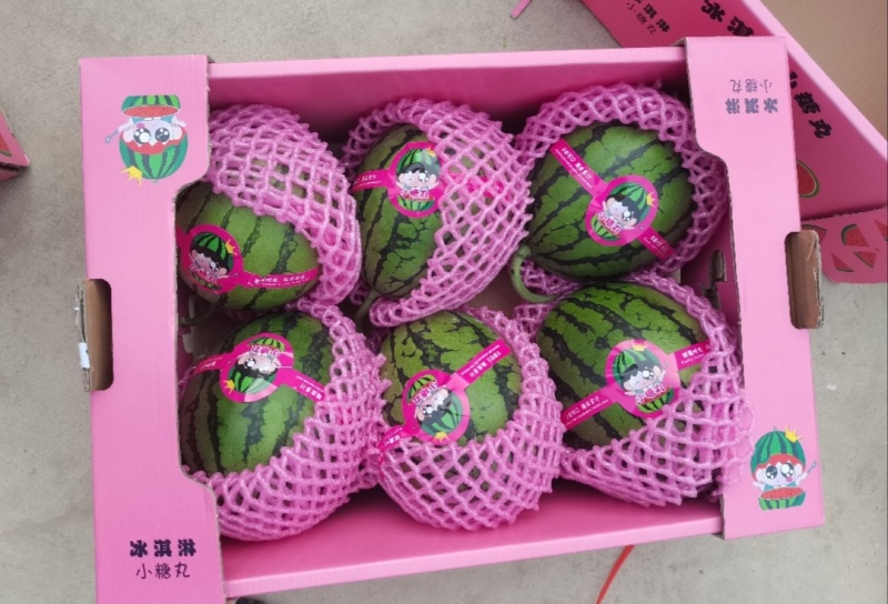 【推荐】寒亭小糖丸西瓜代办包熟包甜一手货源量大从优