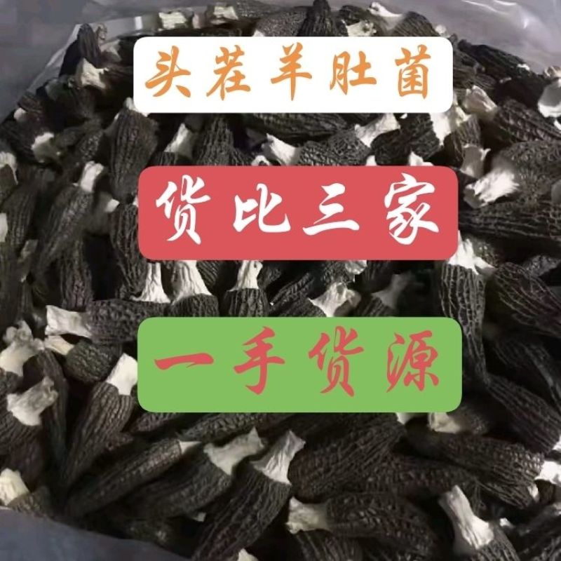 2025年新干货羊肚菌