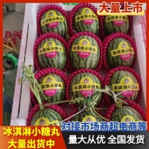 全美2k西瓜，冰糖仔西瓜，小吊瓜，手撕瓜，品种齐全可供