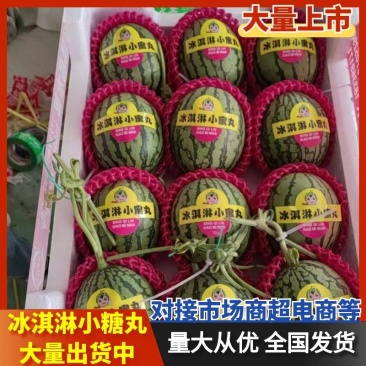 全美2k西瓜,冰糖仔西瓜,小吊瓜,手撕瓜,品种齐全可供