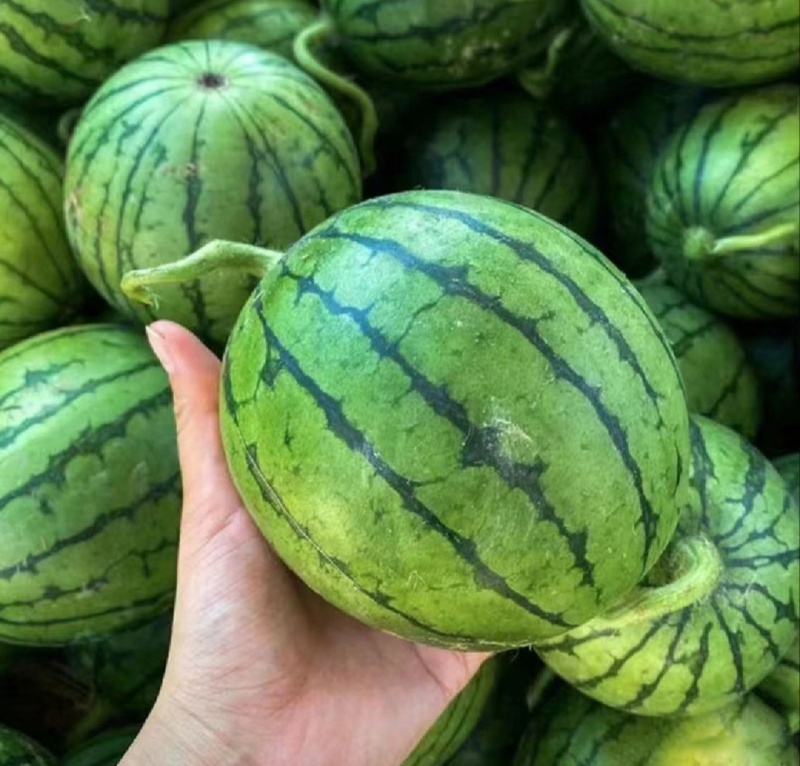 【推荐】寒亭L600西瓜代办包熟包甜一手货源量大从优