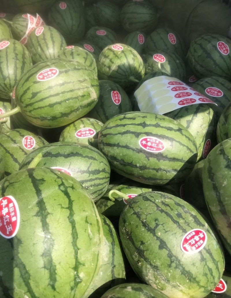 【推荐】寒亭L600西瓜代办包熟包甜一手货源量大从优