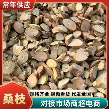 桑枝主产地盛产品质好价格实惠量大从优欢迎订购