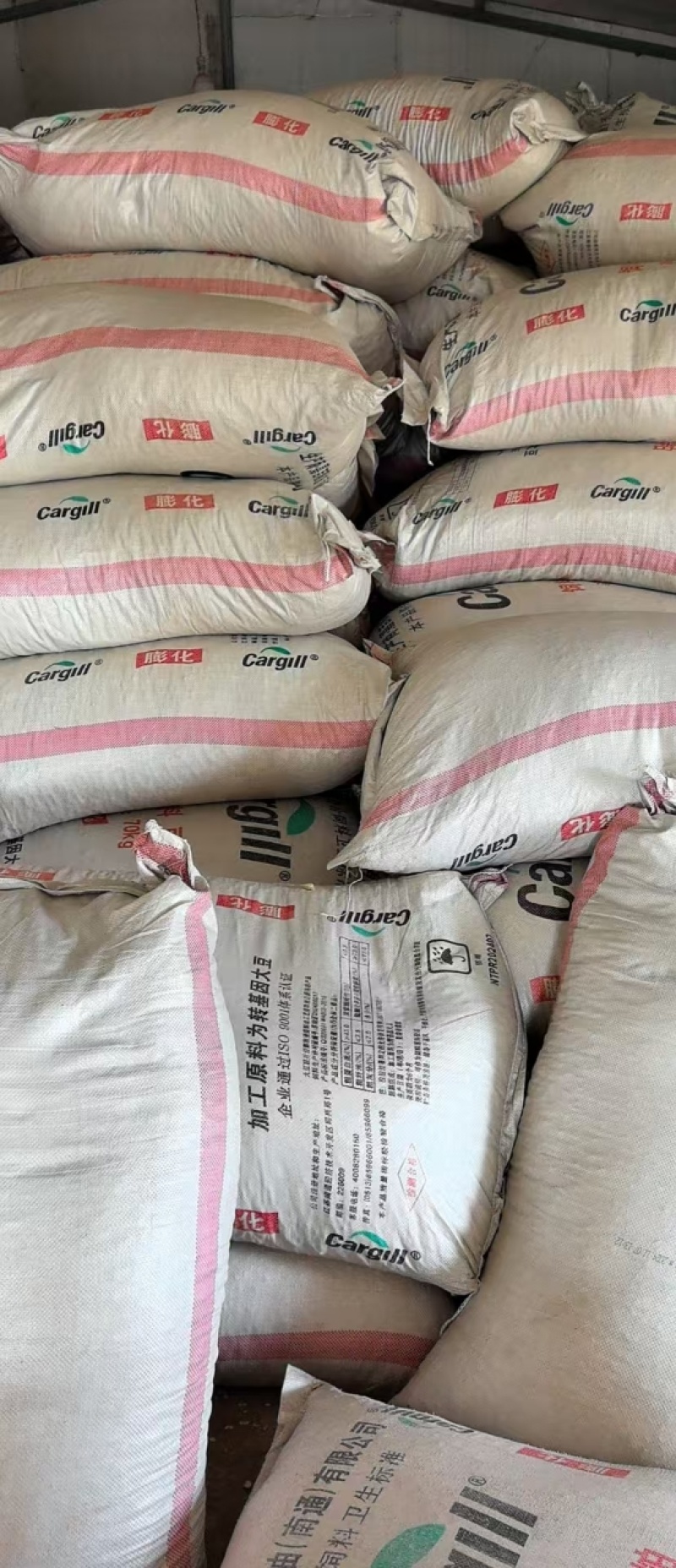 桑枝主产地盛产品质好价格实惠量大从优欢迎订购