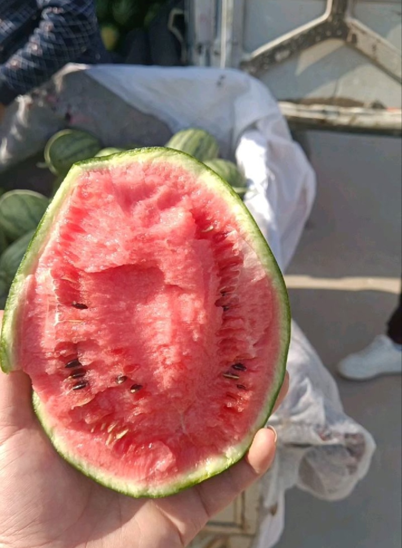 【推荐】小吊瓜蓝籽西瓜包熟包甜一手货源量大从优