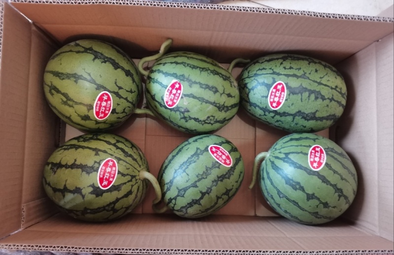 【推荐】小吊瓜蓝籽西瓜包熟包甜一手货源量大从优