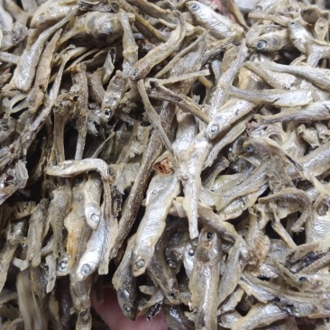 水煮小白条，筛灰整理，十成干，
