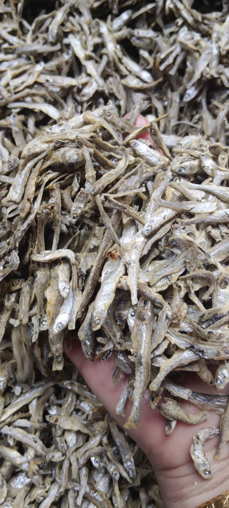 水煮小白条，筛灰整理，十成干，