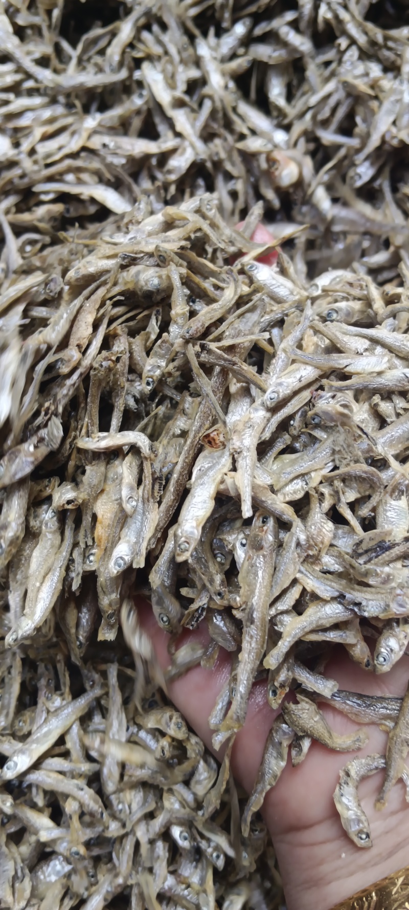 水煮小白条，筛灰整理，十成干，