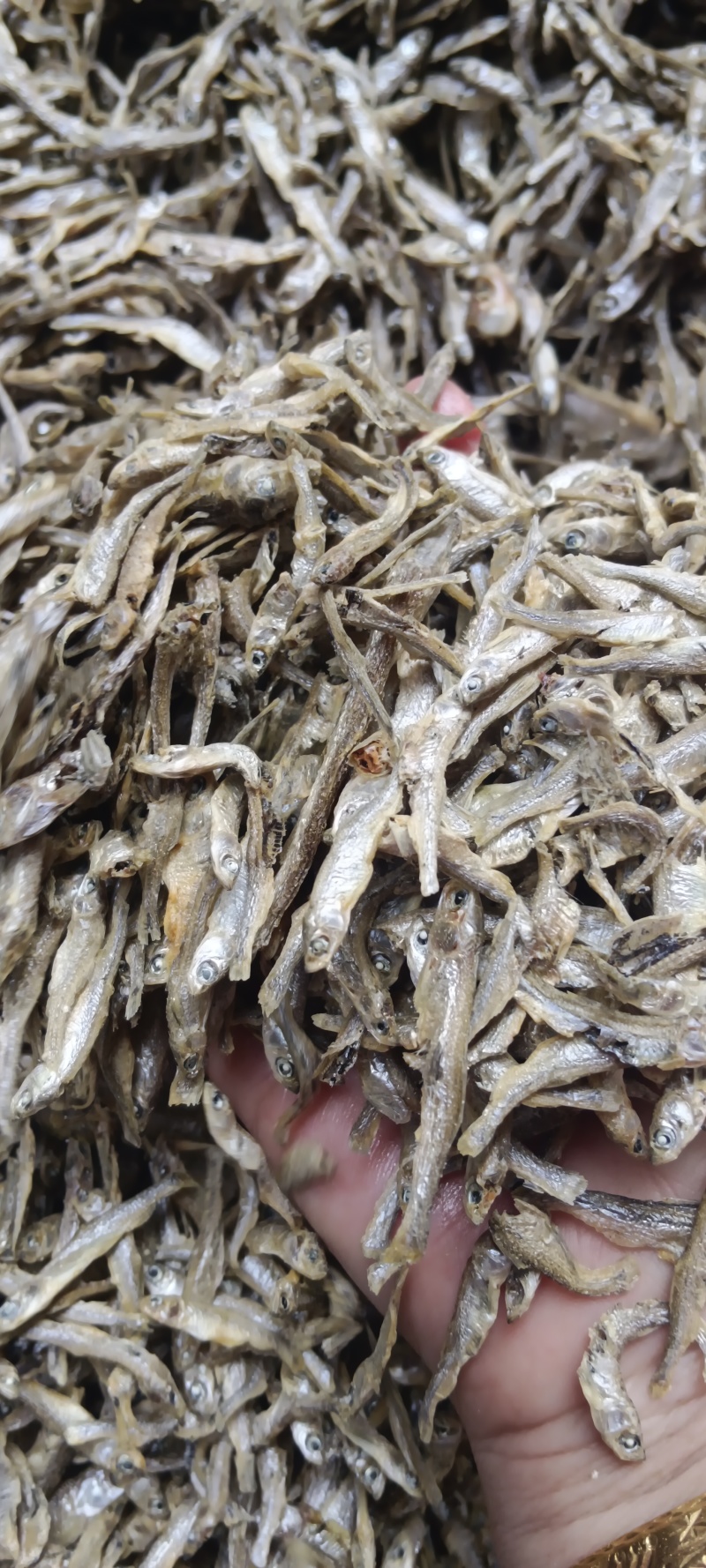 水煮小白条，筛灰整理，十成干，
