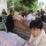 【推荐】秋月梨大量接单诚信合作代发全国欢迎咨询