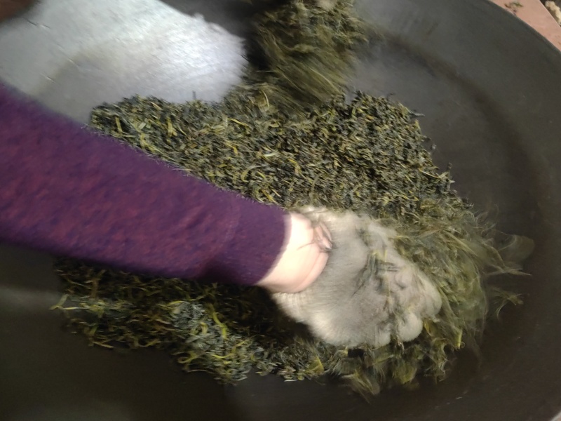 高山绿茶
