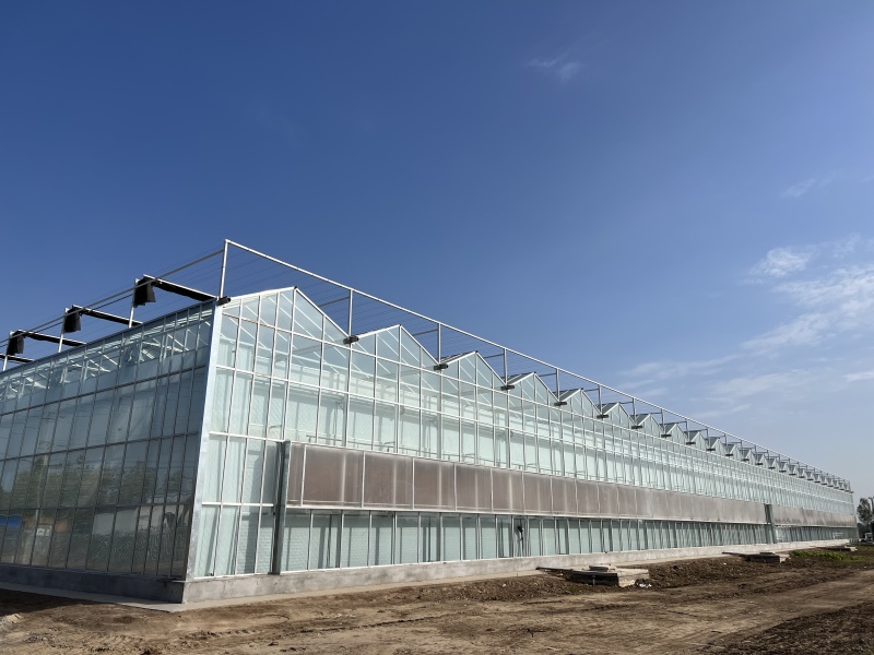 20亩冬暖棚5亩玻璃大棚出租设施用地水电齐全一年新棚