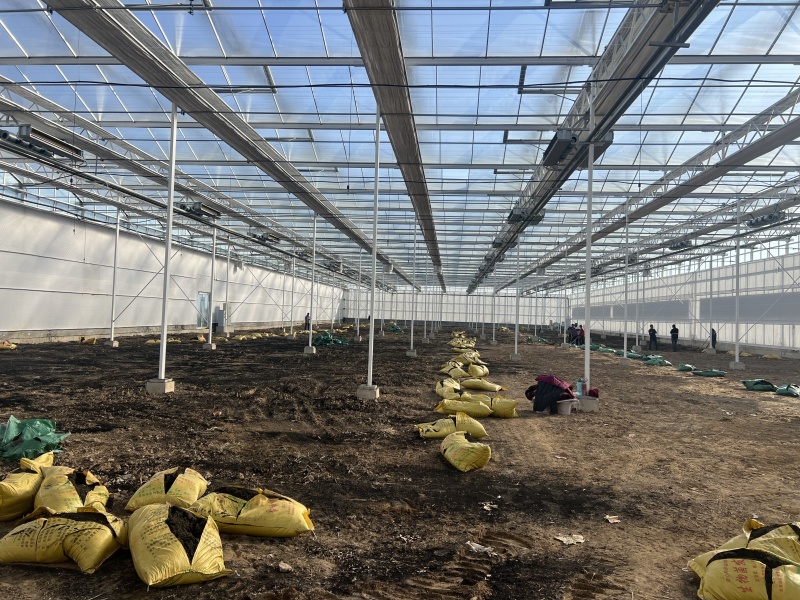 20亩冬暖棚5亩玻璃大棚出租设施用地水电齐全一年新棚