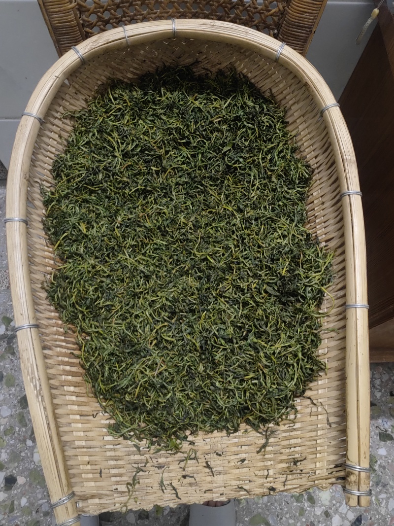 高山绿茶