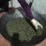 高山绿茶