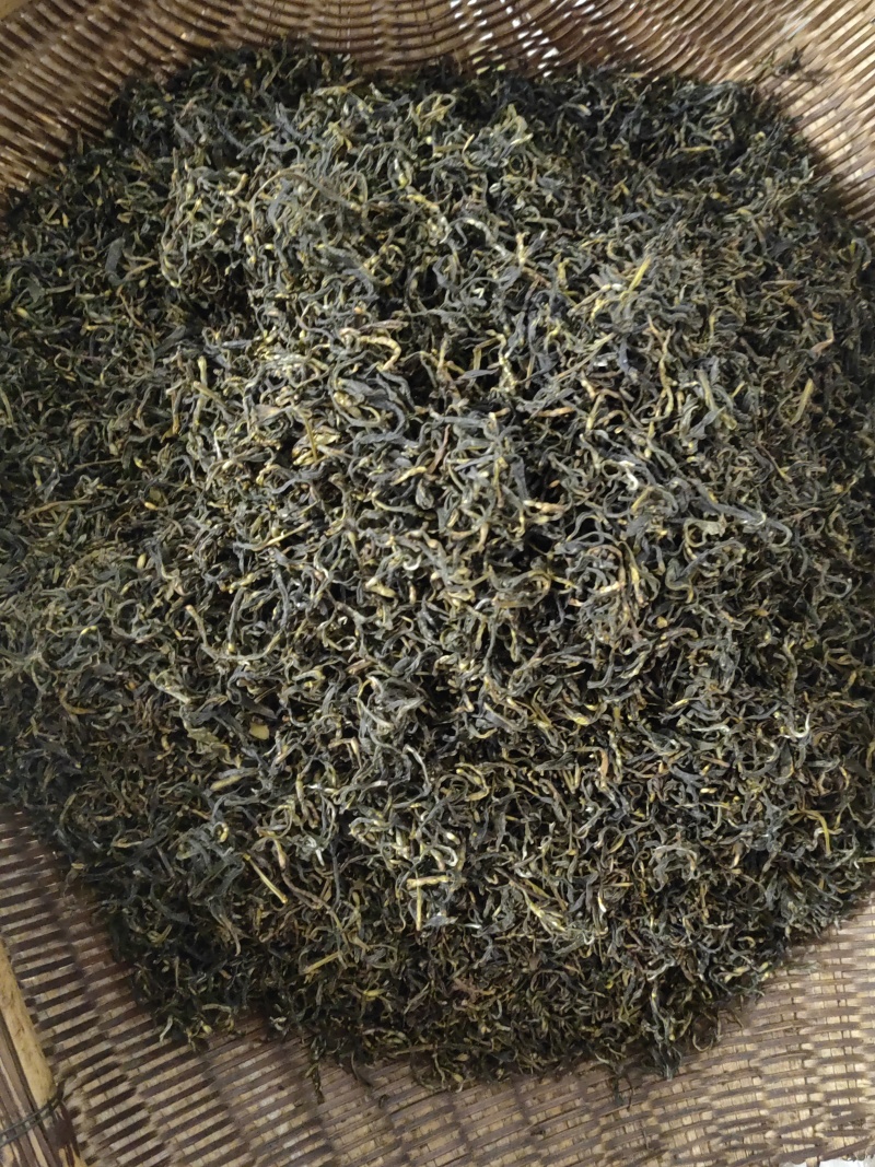 高山绿茶