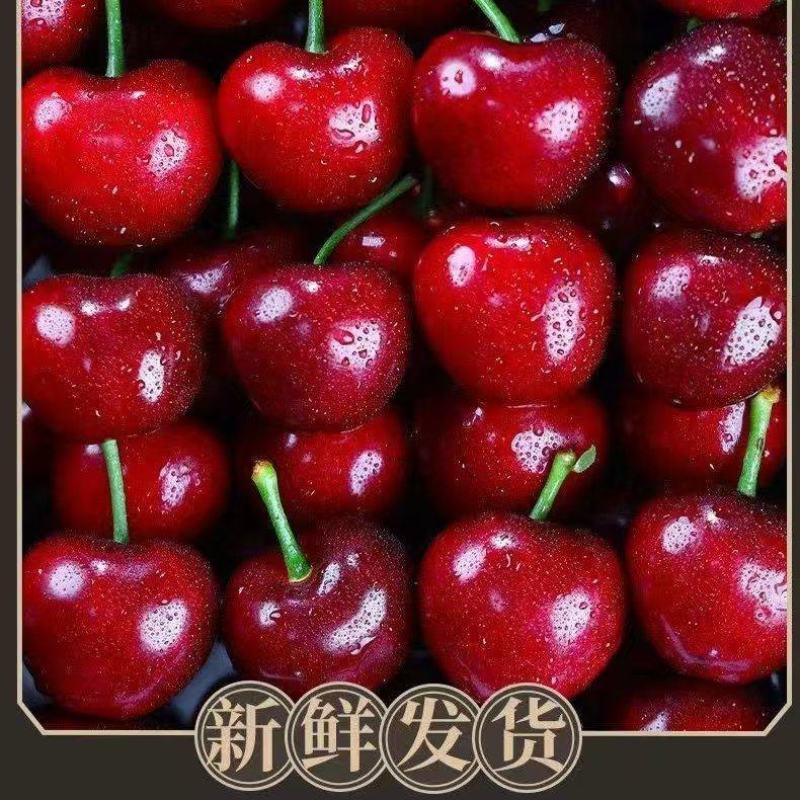 【一件代发】美早樱桃对接电商超市团购顺丰京东包邮