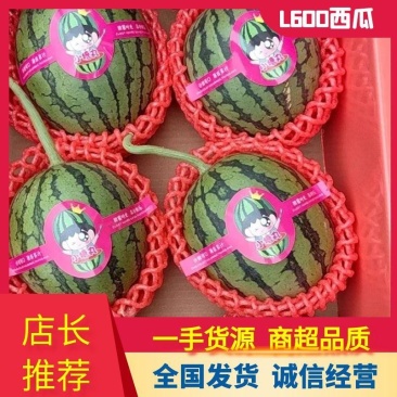 【推荐】寒亭L600西瓜代办包熟包甜一手货源量大从优