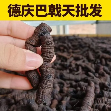 一手货源...靶戟天产地直供量大从优