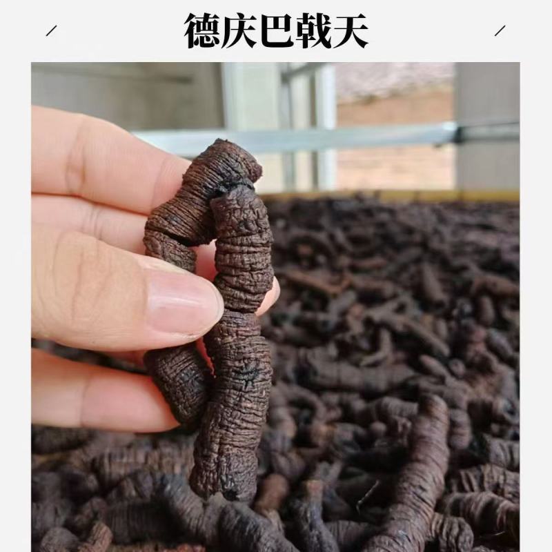 一手货源...靶戟天产地直供量大从优