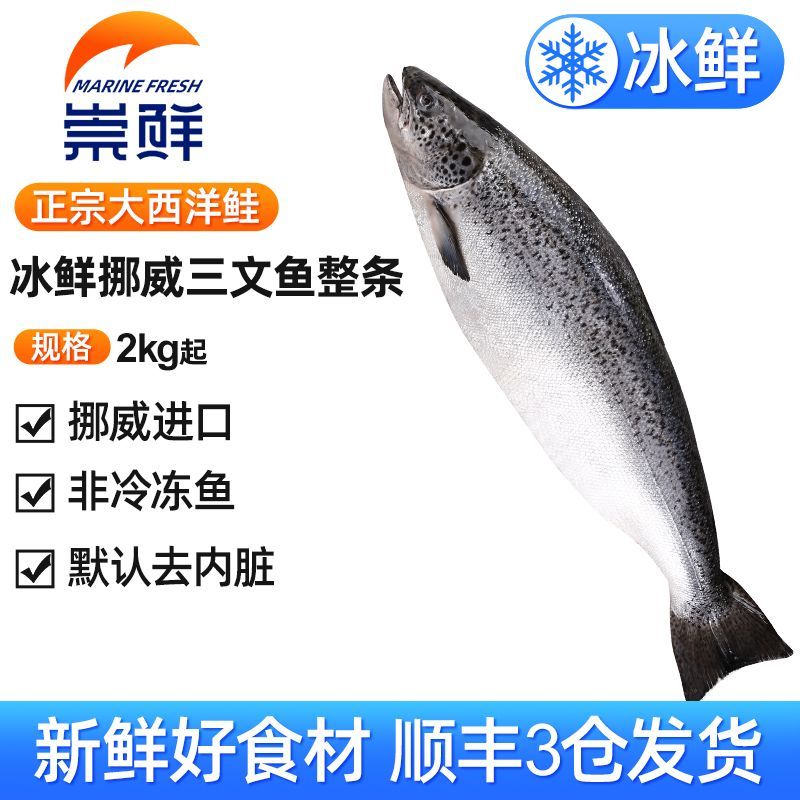 崇鲜新鲜挪威进口冰鲜三文鱼整条(大西洋鲑)刺身去内脏装