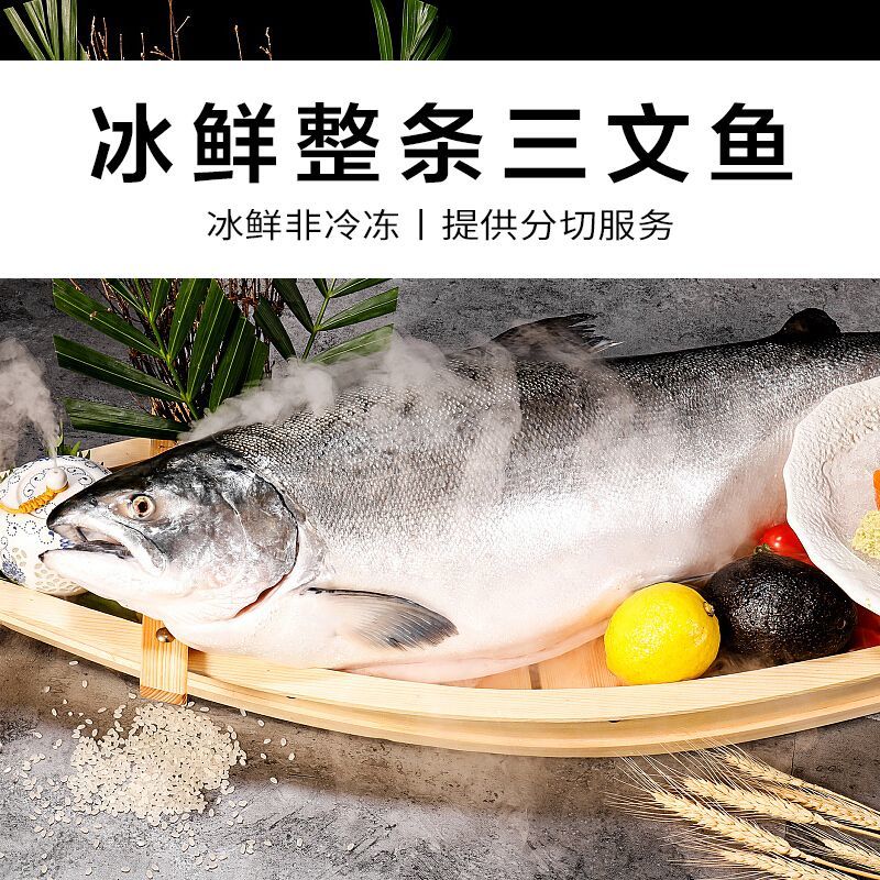 崇鲜新鲜挪威进口冰鲜三文鱼整条(大西洋鲑)刺身去内脏装
