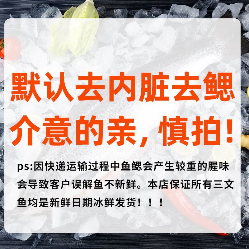 崇鲜新鲜挪威进口冰鲜三文鱼整条(大西洋鲑)刺身去内脏装