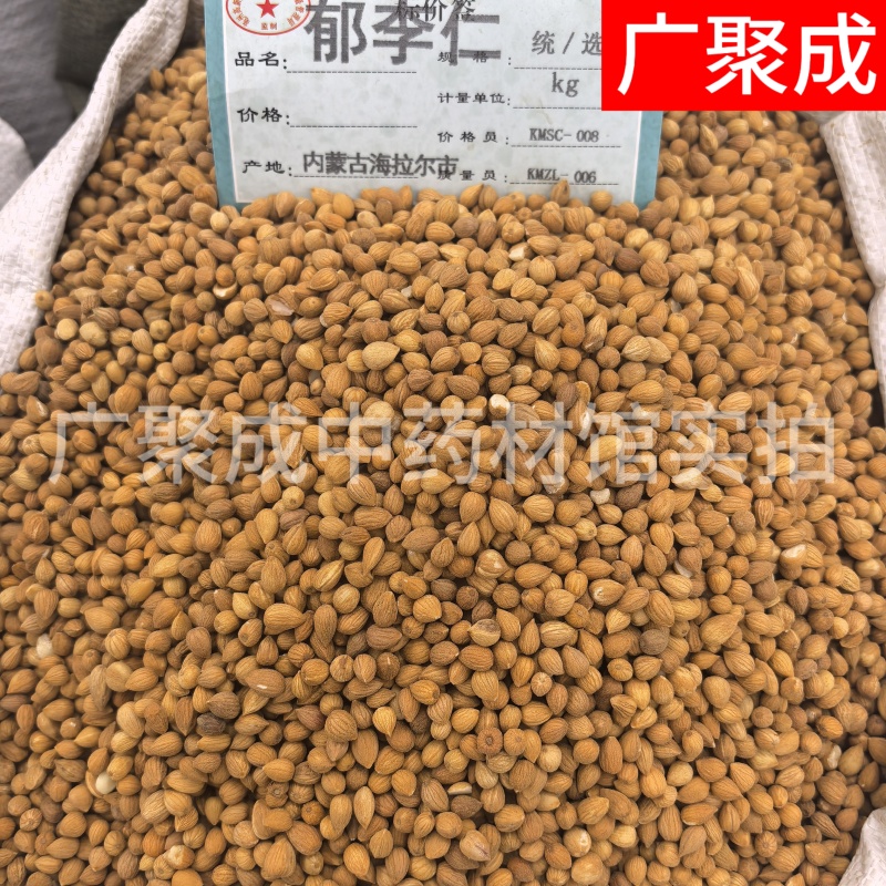 郁李仁小李仁饱满无杂一公斤起批新疆货甘肃货内蒙货