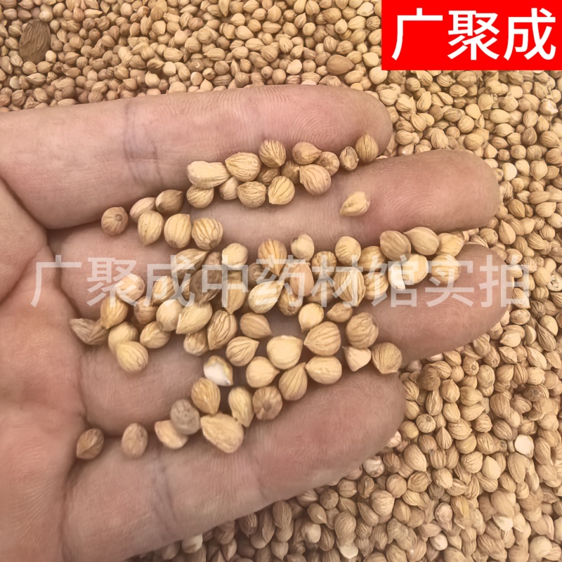郁李仁小李仁饱满无杂一公斤起批新疆货甘肃货内蒙货