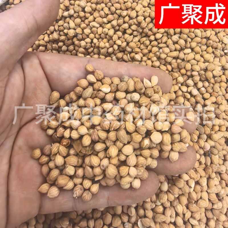 郁李仁小李仁饱满无杂一公斤起批新疆货甘肃货内蒙货
