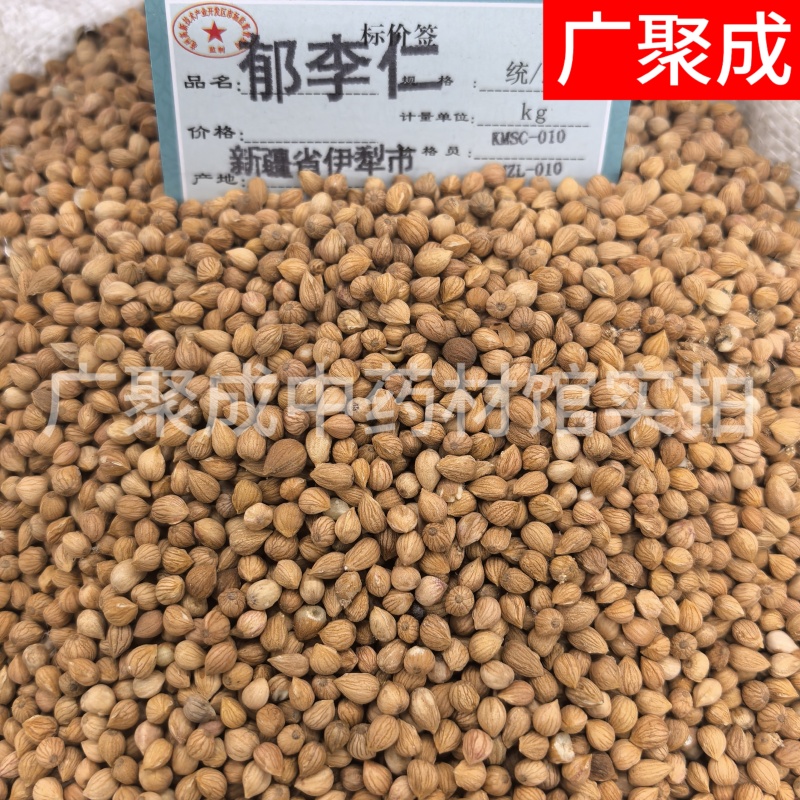 郁李仁小李仁饱满无杂一公斤起批新疆货甘肃货内蒙货