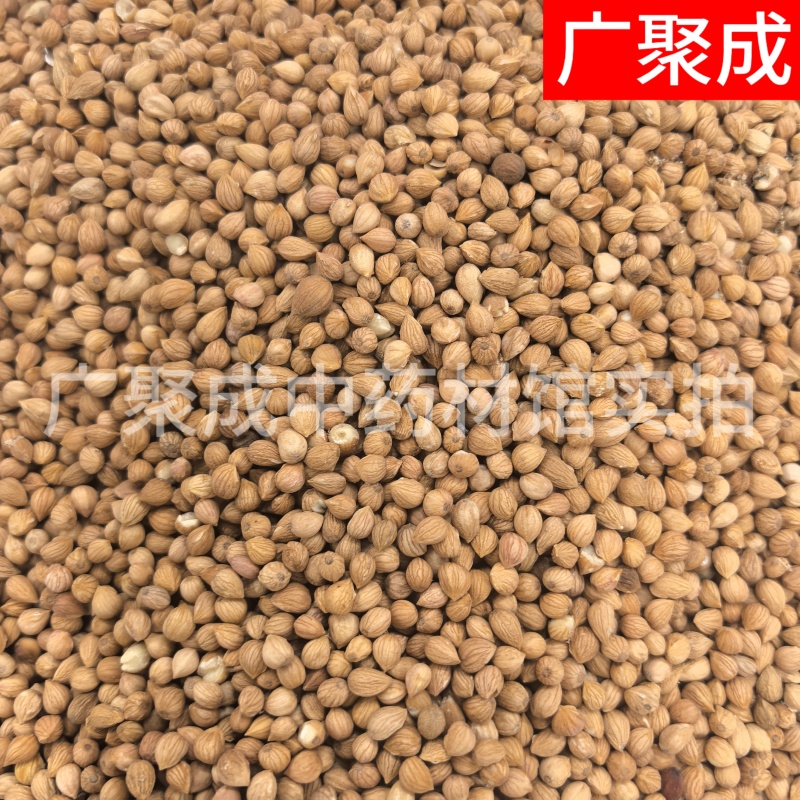 郁李仁小李仁饱满无杂一公斤起批新疆货甘肃货内蒙货