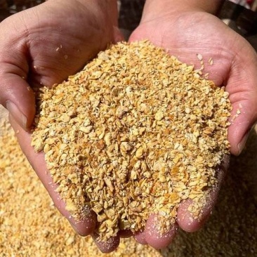 豆粕生产厂家直销拒绝中间商赚差价